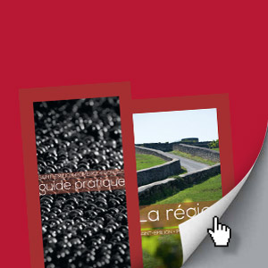 Feuilletez notre guide pratique en ligne