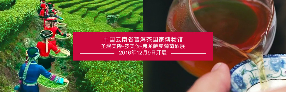 中国云南省普洱茶国家博物馆