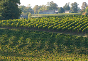 Puisseguin Saint-Emilion