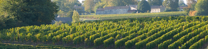 ピュイスガン・サン・テミリオン<br/> <small>(Puisseguin Saint-Emilion)</small>